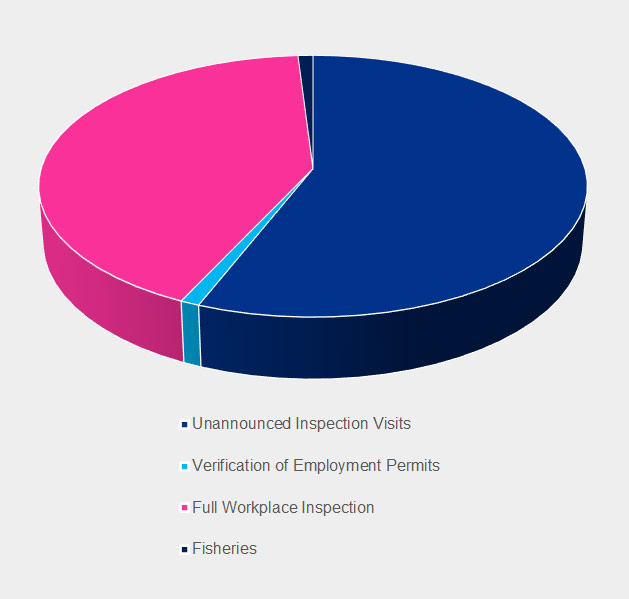 Inspection Visit Profile pie chart